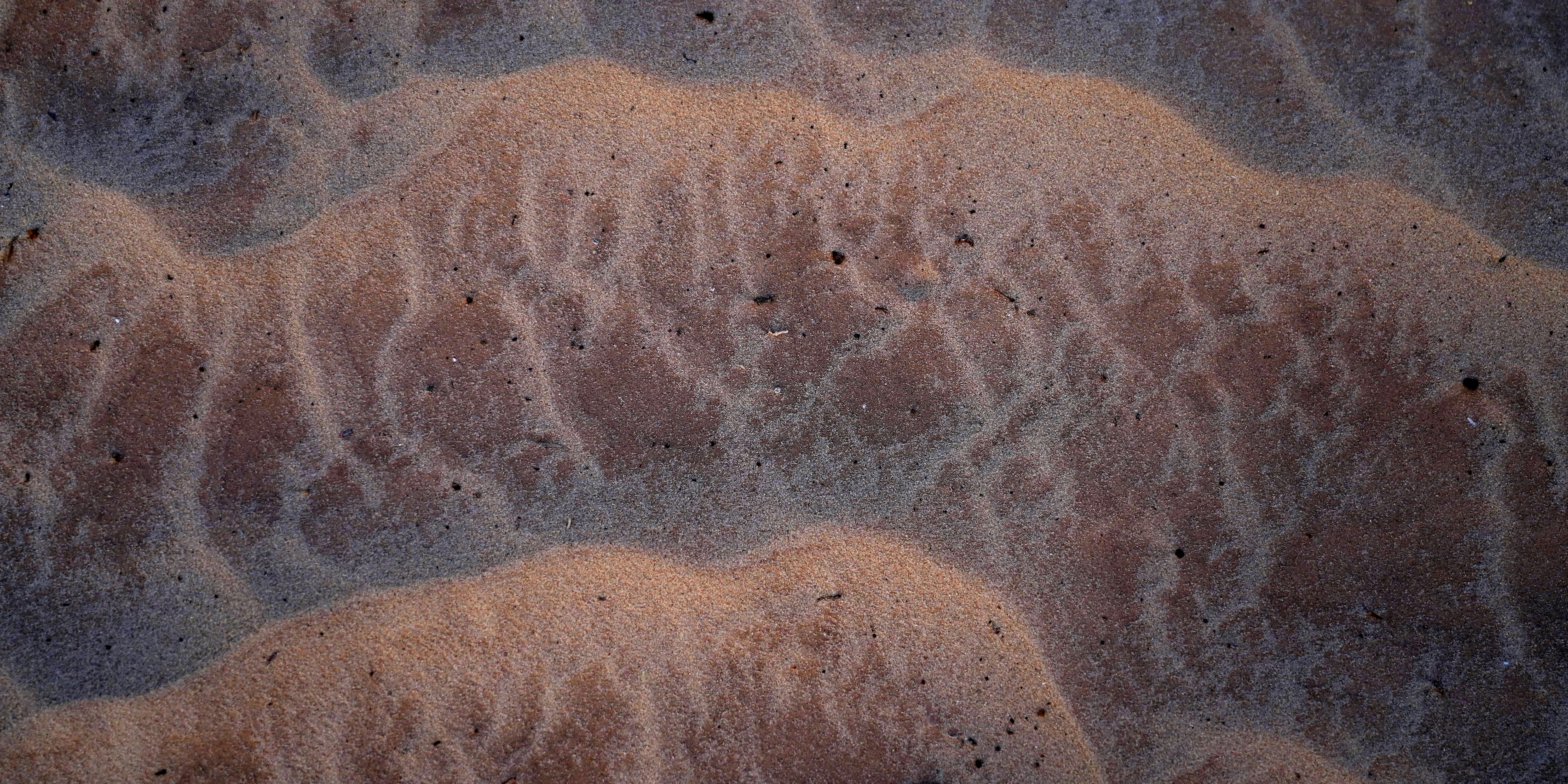 a sandy beach with a wave coming in from the sand