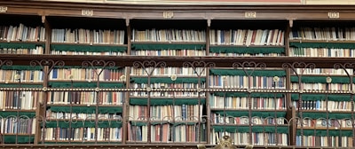 A large bookshelf filled with numerous books organized neatly with numbered sections above. The books are arranged in rows and some have colored spines, creating a pattern across the shelves. Ornate metal railings run horizontally across the middle of the bookshelf, adding an element of elegance.