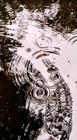 Circular ripples spread across the surface of a dark body of water, creating intricate patterns. The light reflects off the water, highlighting the textures and movement within each ripple.