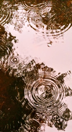 Circular ripples spread across the surface of a body of water, creating overlapping patterns. The water is in a natural setting, with darker areas reflecting the muddy or earthy tones beneath the surface.
