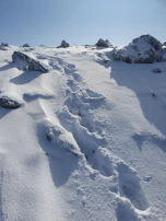 Footprints on a rocky trail that winds through vibrant green fields.