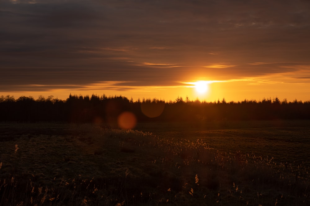 the sun is setting over a field with trees in the background