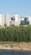A cluster of modern high-rise apartment buildings stand in the background against a clear blue sky. In the foreground, a dense grove of tall green bamboo provides a natural contrast to the urban skyline. A small river runs along the base, bordered by rocky and grassy banks.