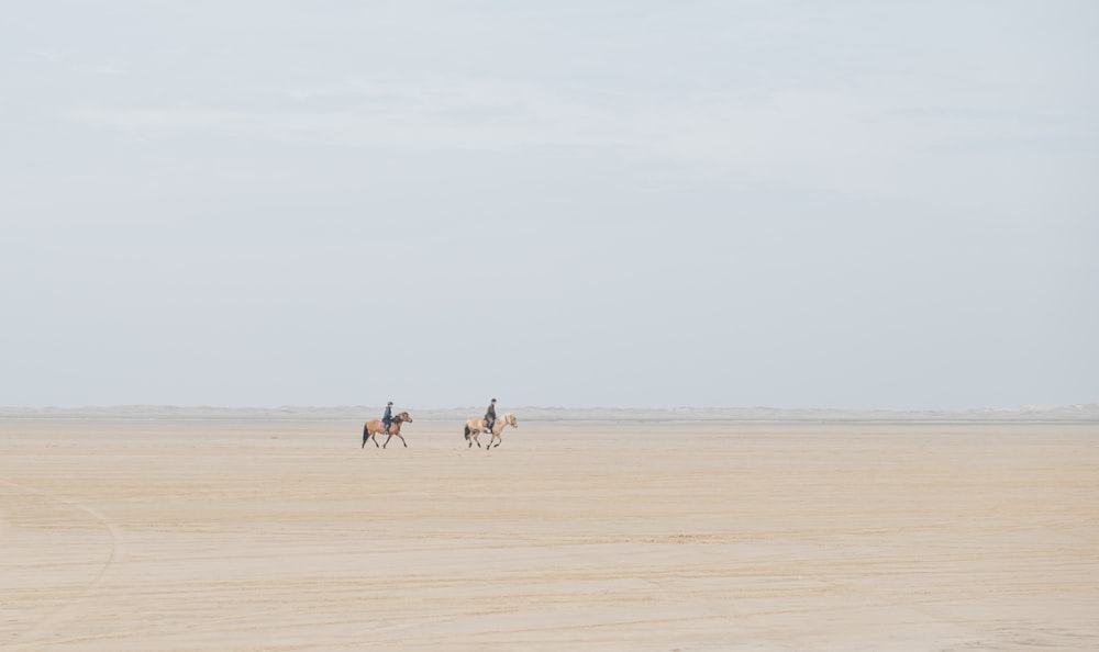 a group of people riding horses across a desert