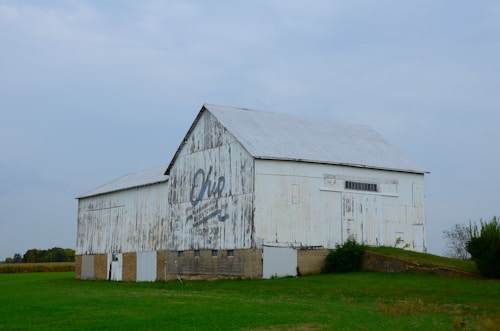 A weathered white barn stands alone in a grassy field under an overcast sky. The barn has chipped paint and a large faded mural with the word 'Ohio' emblazoned on it. It sits on a stone foundation, surrounded by patches of green grass and a sparse tree line in the distance.
