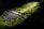 A piece of intricately designed silver jewelry, possibly a necklace, is placed on a large green leaf with variegated patterns. The jewelry features detailed craftsmanship with ornate elements and dangling beads, set against a dark background.
