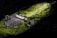 A piece of intricately designed silver jewelry, possibly a necklace, is placed on a large green leaf with variegated patterns. The jewelry features detailed craftsmanship with ornate elements and dangling beads, set against a dark background.