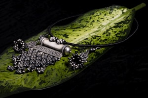 A piece of intricately designed silver jewelry, possibly a necklace, is placed on a large green leaf with variegated patterns. The jewelry features detailed craftsmanship with ornate elements and dangling beads, set against a dark background.