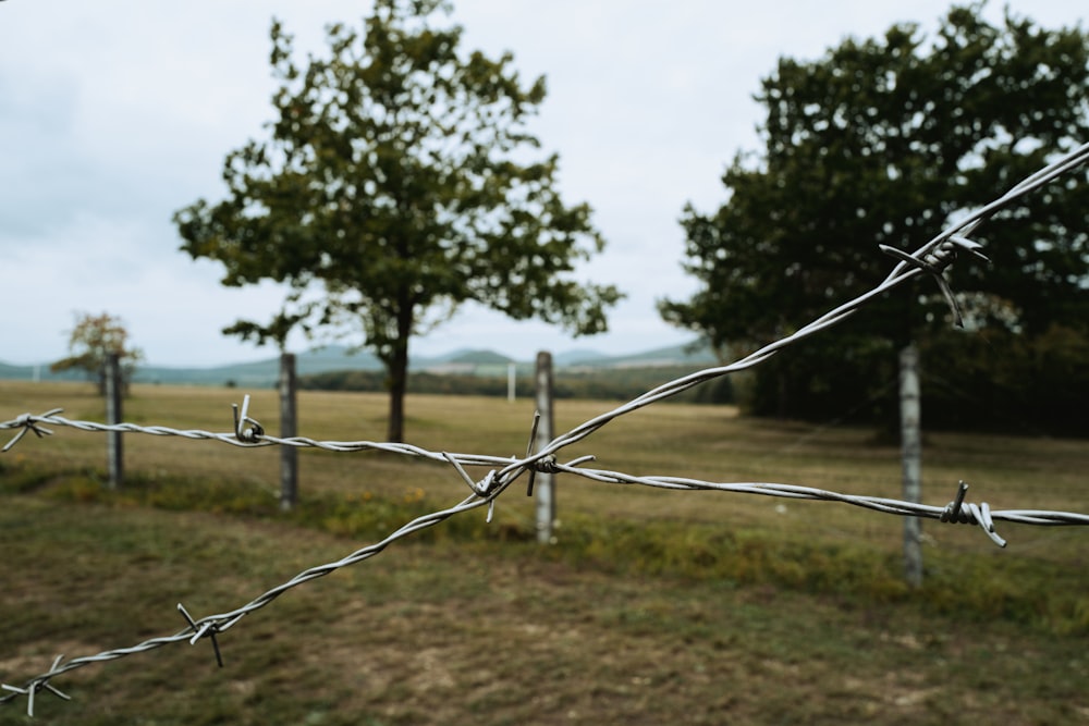 a barbed wire fence with trees in the background