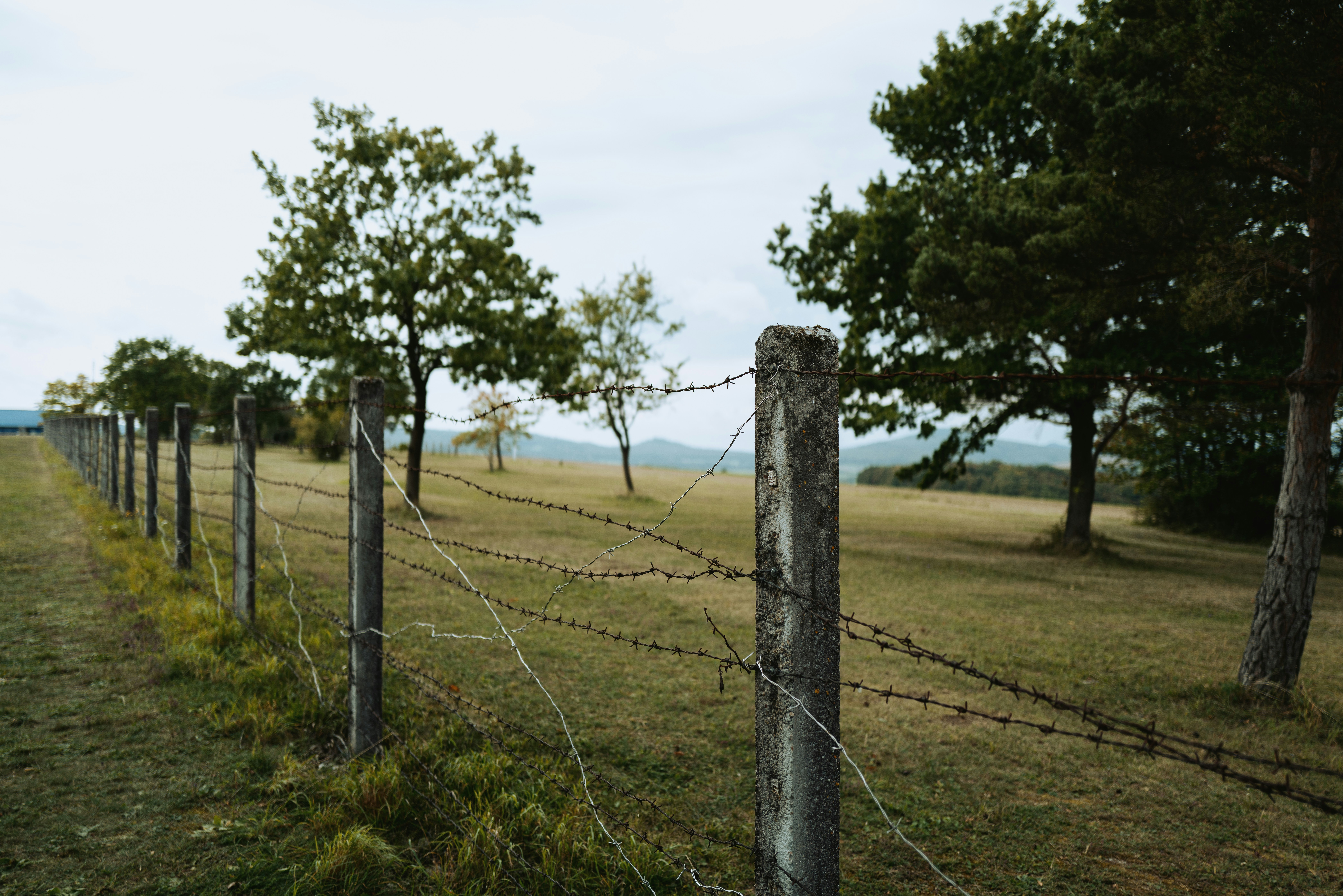 Photo by timonreinhard