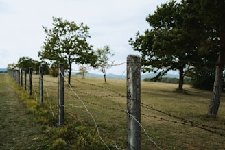 A barbed wire fence stretches across a grassy landscape, with sturdy concrete posts and lush green trees lining the scene. The sky is overcast, offering a muted backdrop to the natural setting.