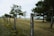 A barbed wire fence stretches across a grassy landscape, with sturdy concrete posts and lush green trees lining the scene. The sky is overcast, offering a muted backdrop to the natural setting.