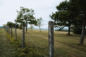 A barbed wire fence stretches across a grassy landscape, with sturdy concrete posts and lush green trees lining the scene. The sky is overcast, offering a muted backdrop to the natural setting.
