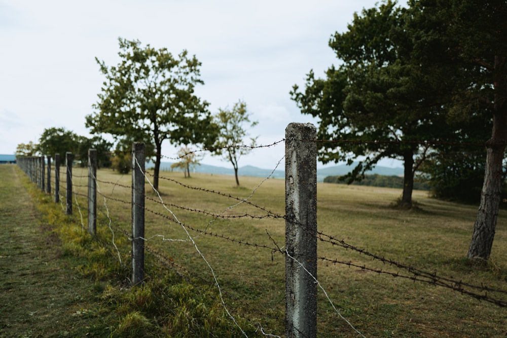 una cerca de alambre de púas en medio de un campo
