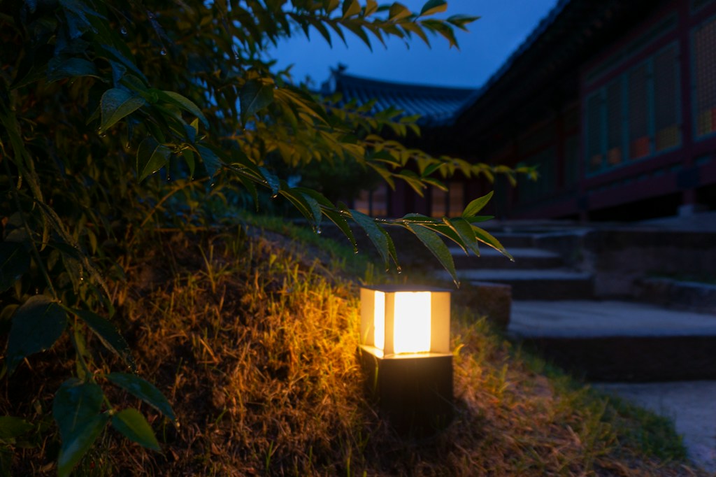 Mosquito Lamp