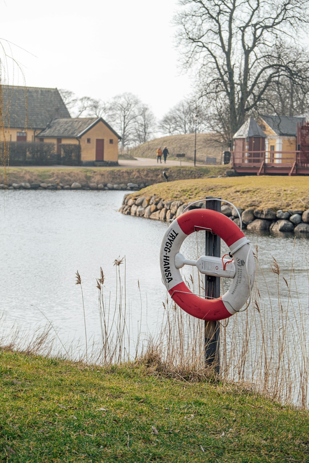 a life preserver on the side of a body of water