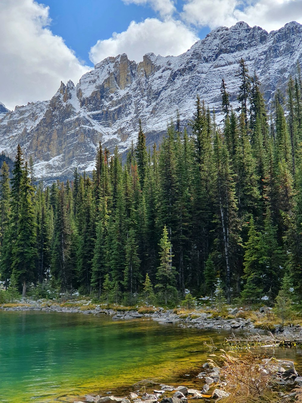 a lake surrounded by pine trees and mountains