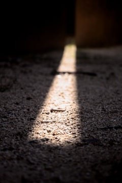 White light scanning process capturing surface details.