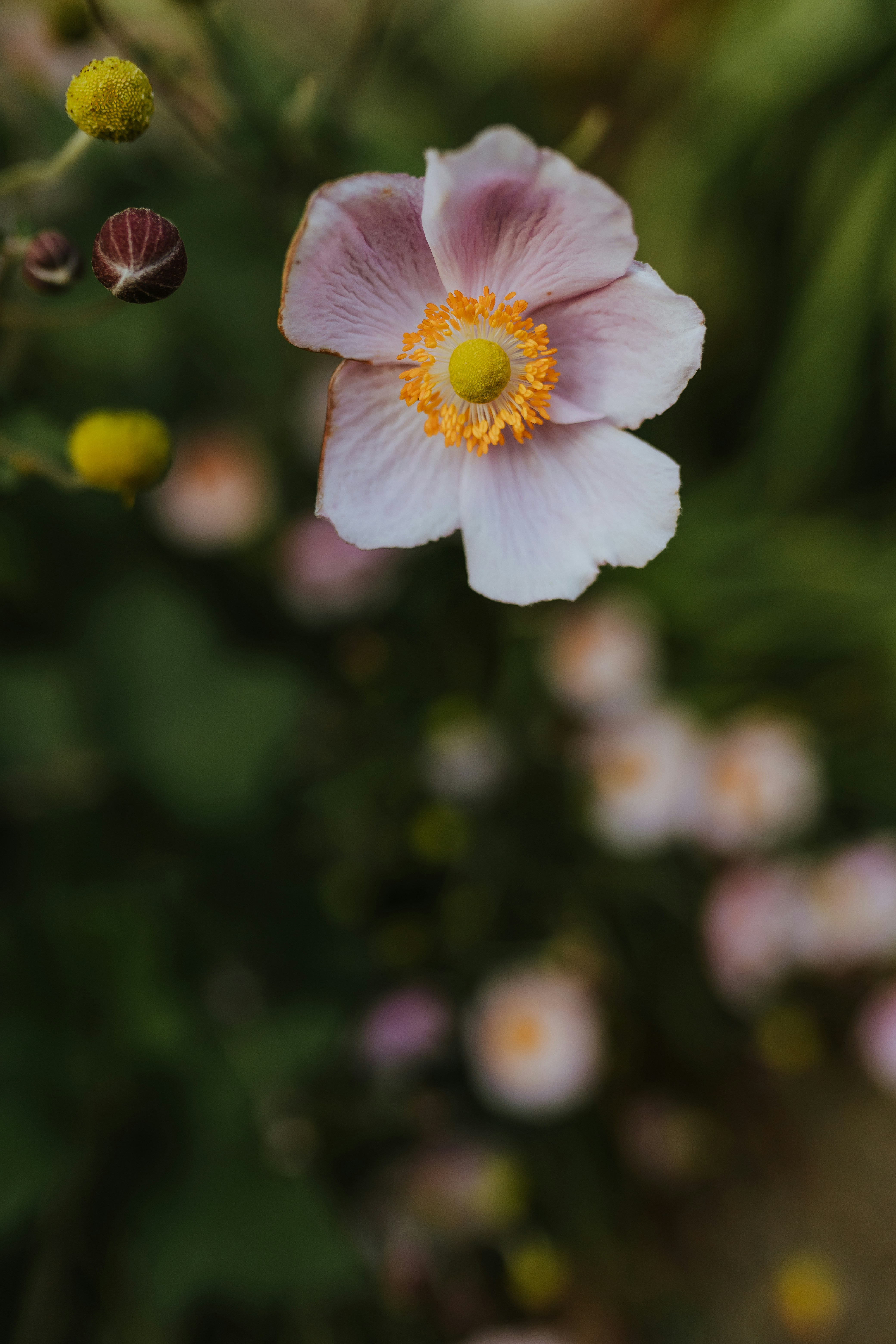 Photo by daiga_ellaby