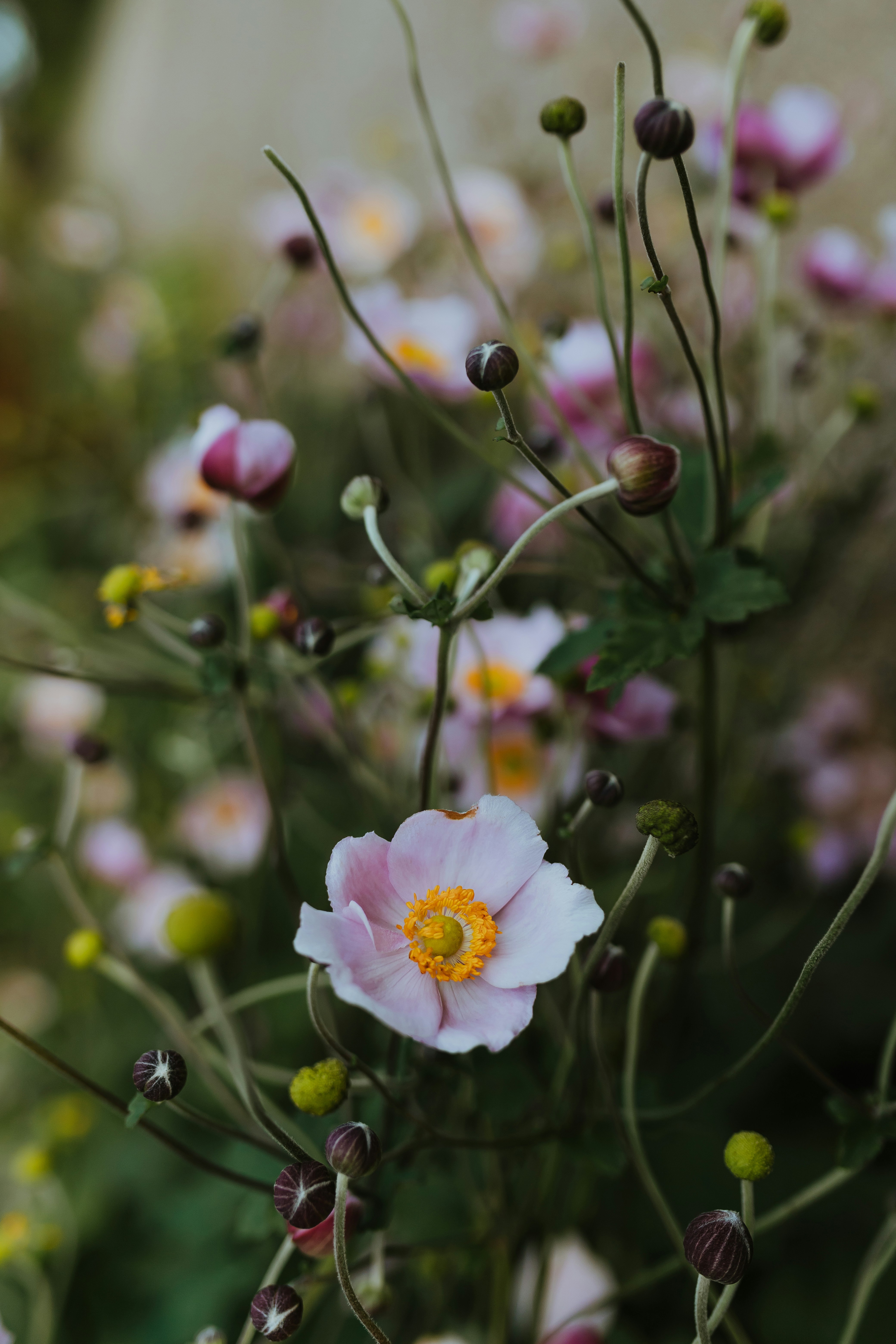 Photo by daiga_ellaby