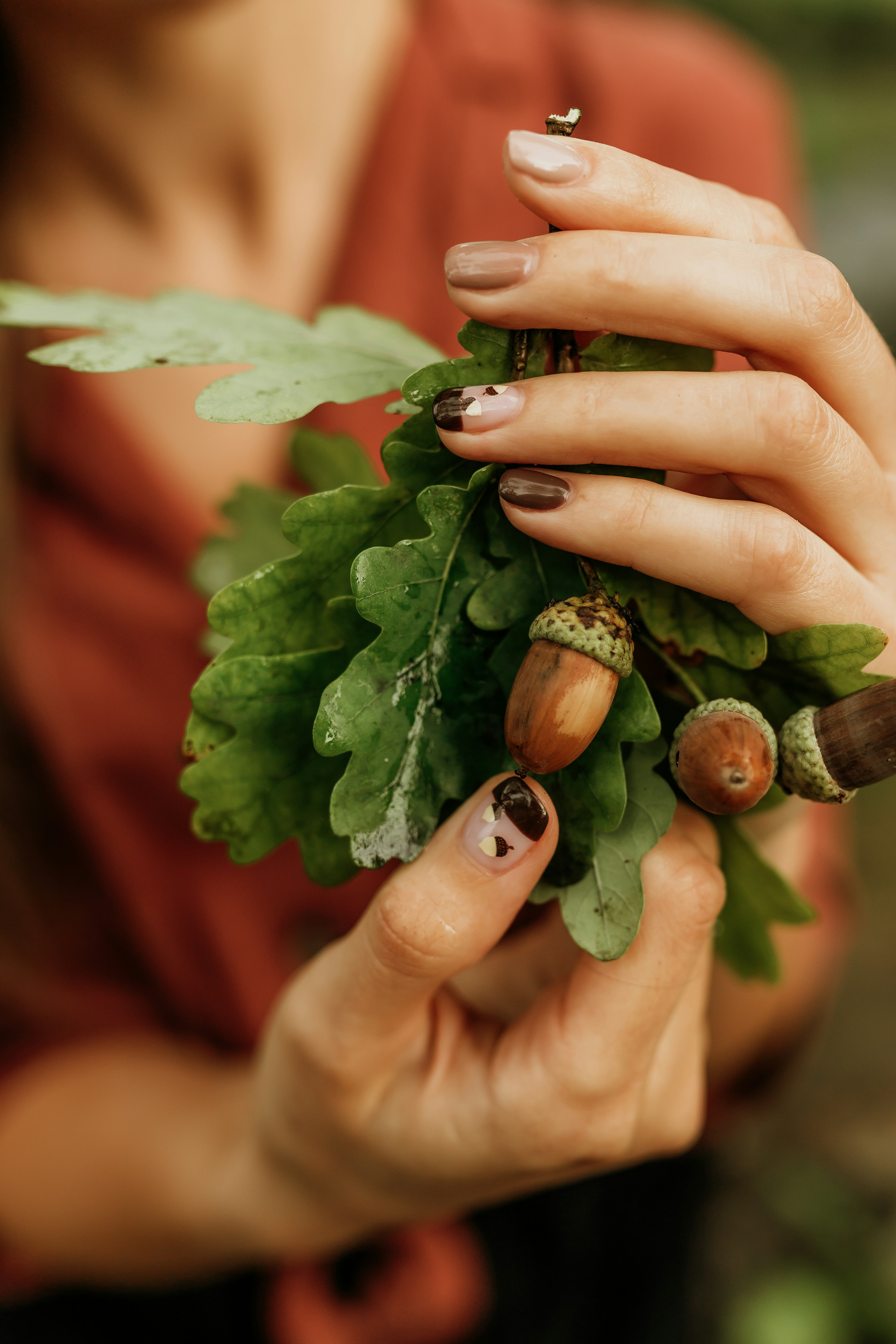 Acorn Season nails