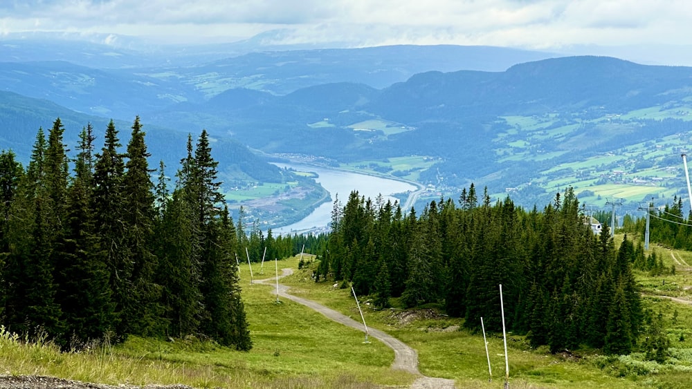 a dirt road in the middle of a forest