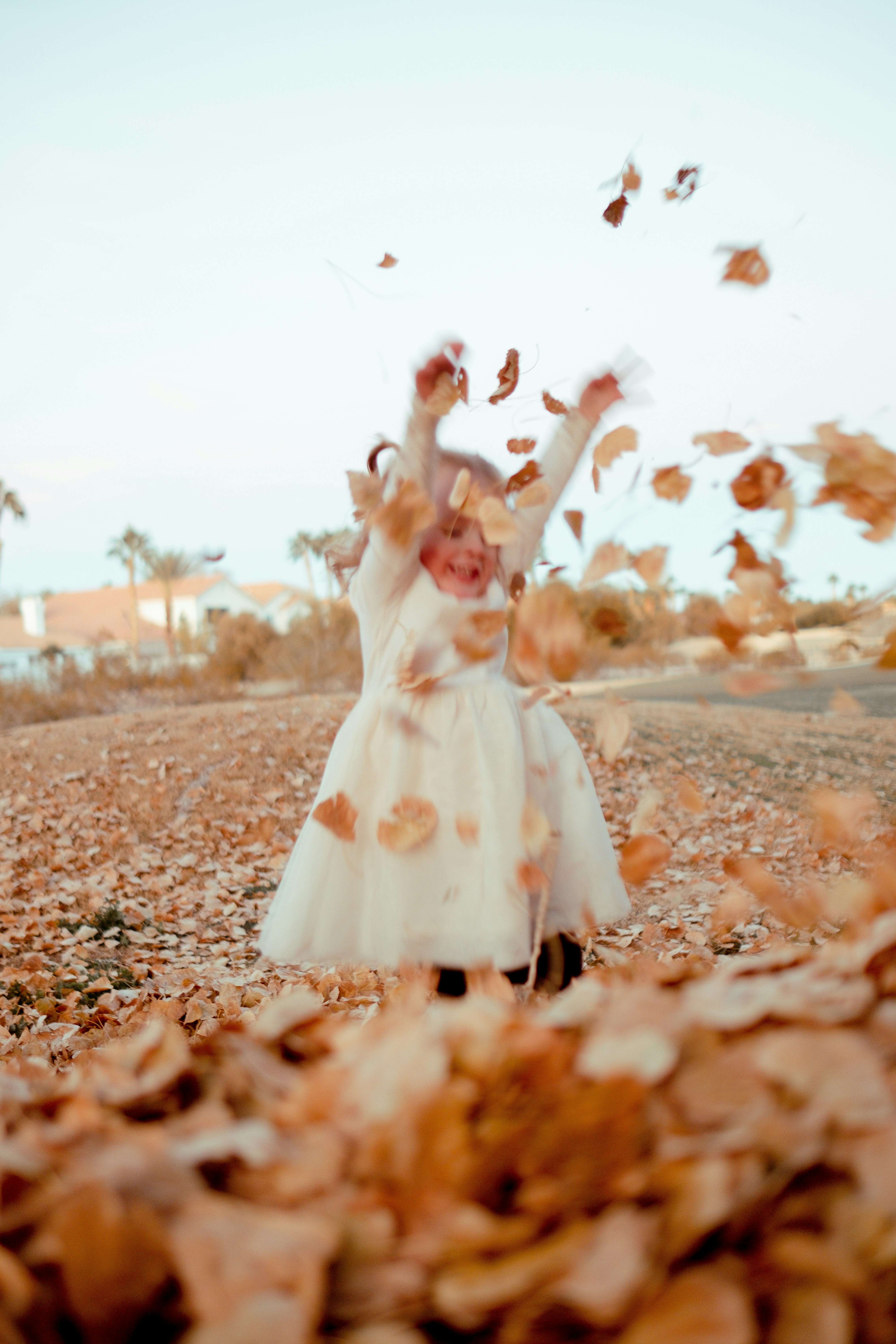 Photo by wesleyphotography