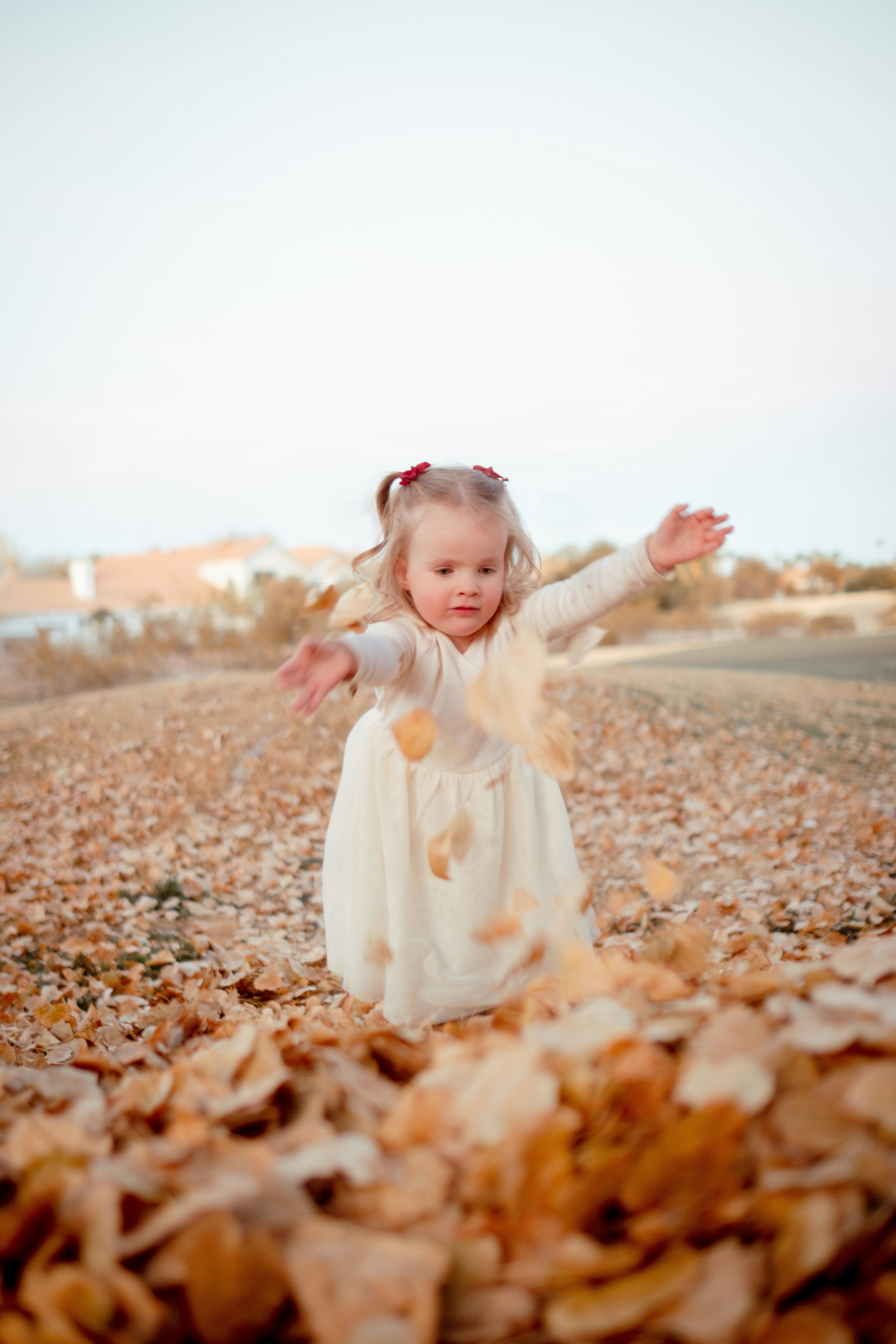 Photo by wesleyphotography