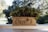 A decorative stone planter adorned with intricate carvings holds lush green foliage with ruffled leaves. The background is a soft blur of trees and foliage, suggesting a garden or park setting.