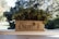 A decorative stone planter adorned with intricate carvings holds lush green foliage with ruffled leaves. The background is a soft blur of trees and foliage, suggesting a garden or park setting.