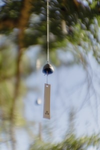 Pendulum Divination Kit