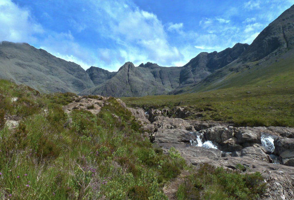 a stream running through a lush green valley