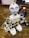 A robot with a humanoid shape and bright blue lights for eyes stands on a wooden surface. It is mainly white with black accents and is connected with various wires. Several small robotic vehicles with electronic components are visible in the background.