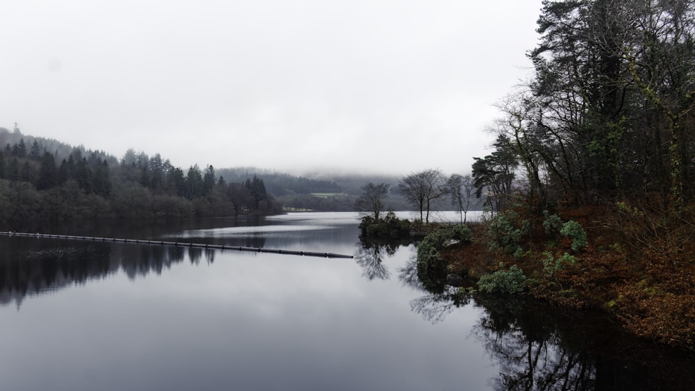 a large body of water surrounded by trees