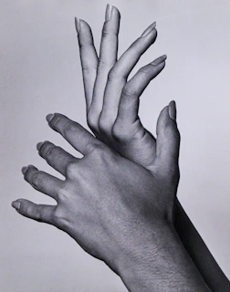 Close-up of hands elegantly positioned, highlighting subtle details of professional posing.