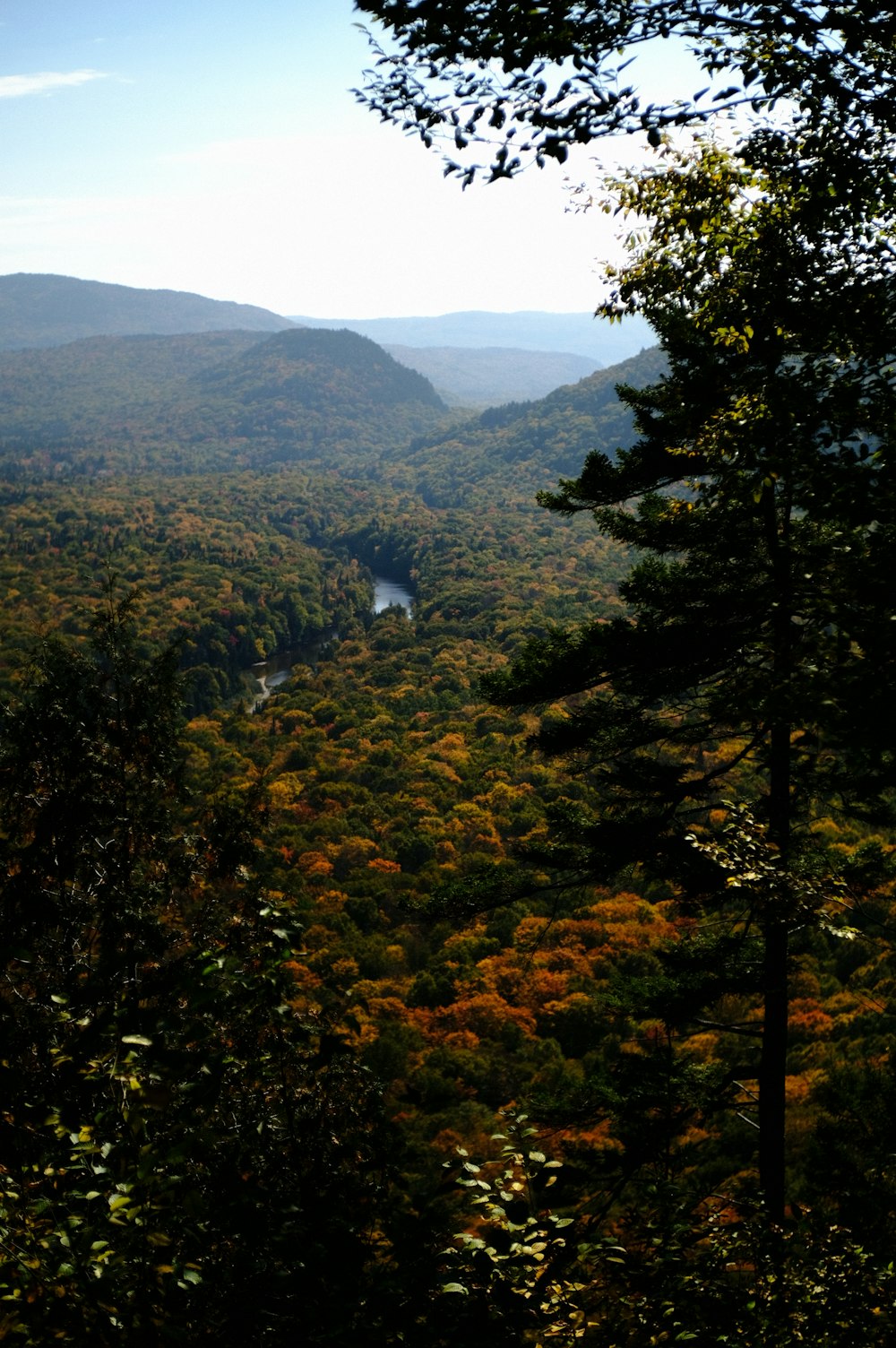 a scenic view of a valley surrounded by trees