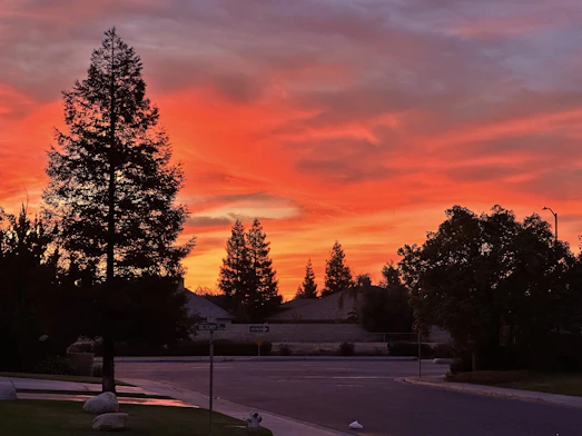 A calm neighborhood street at sunset
