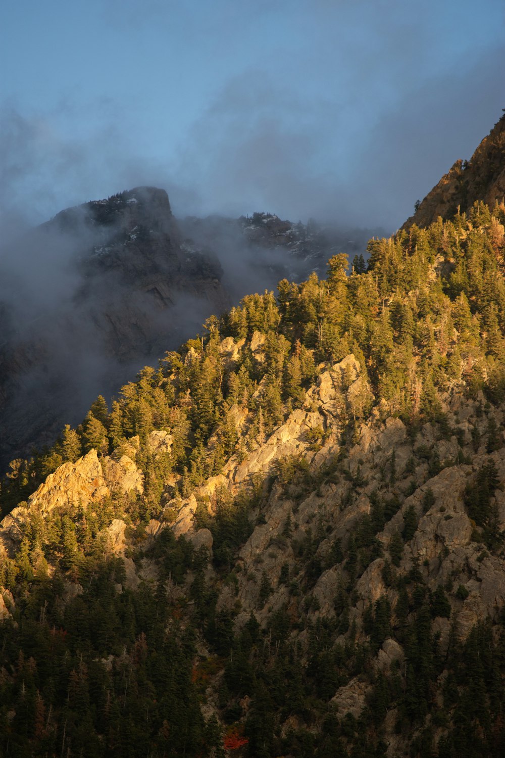 a mountain covered in fog and low lying clouds