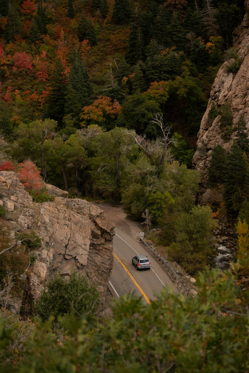 a car driving down a road surrounded by trees