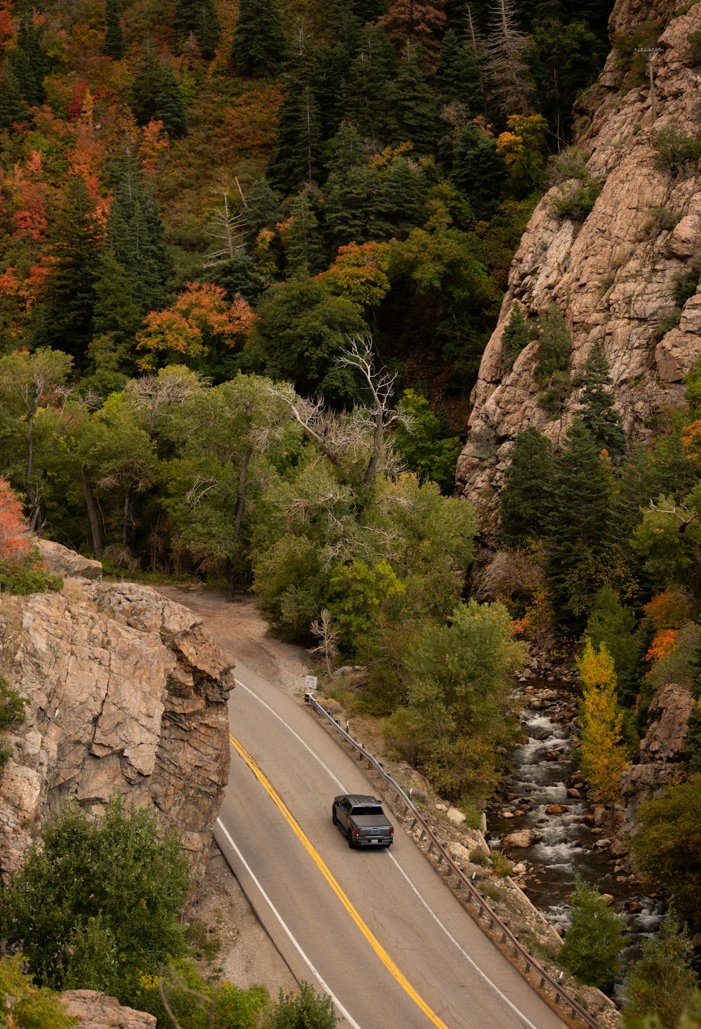 a car driving down a road surrounded by trees