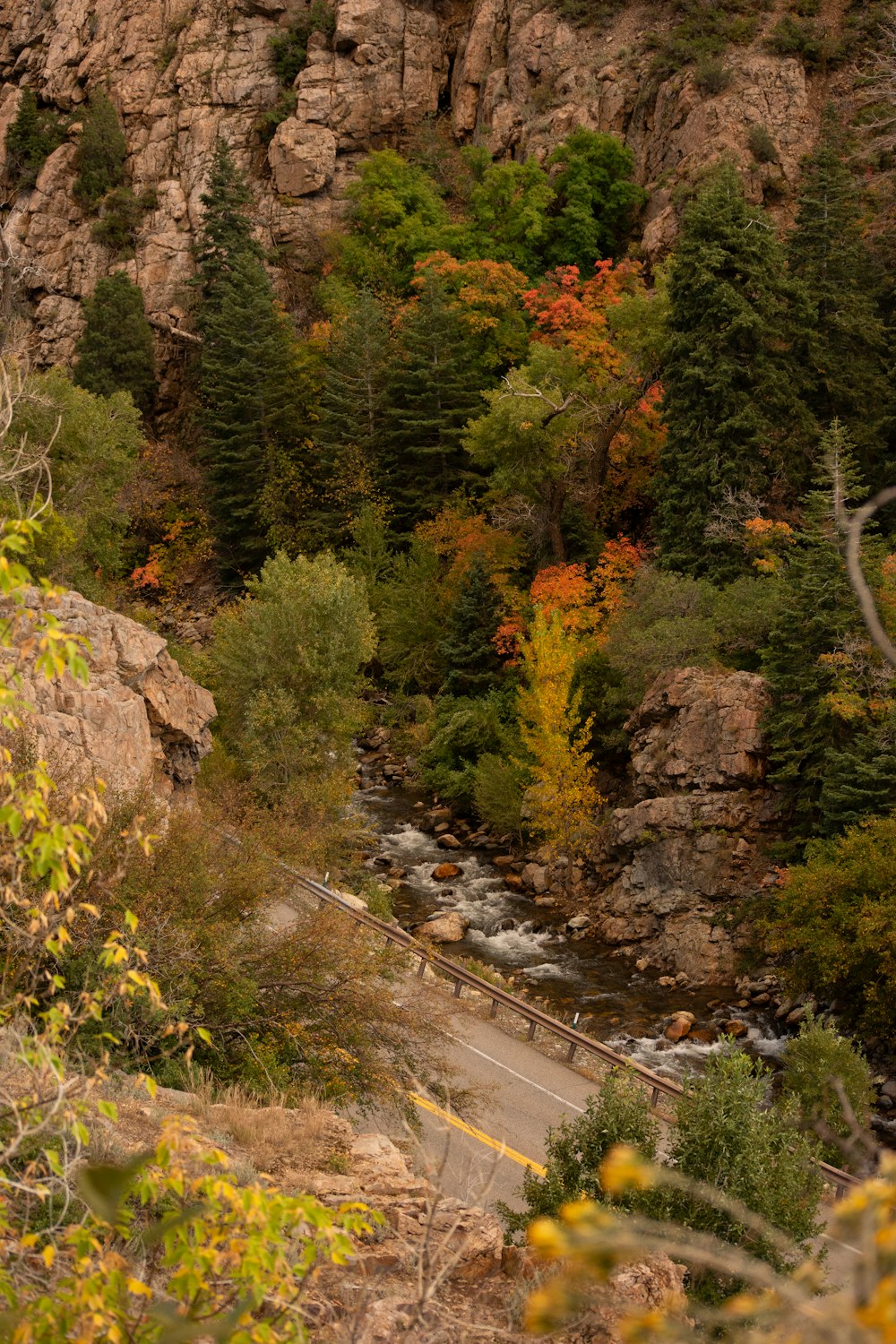 une vue d’une rivière qui traverse une forêt