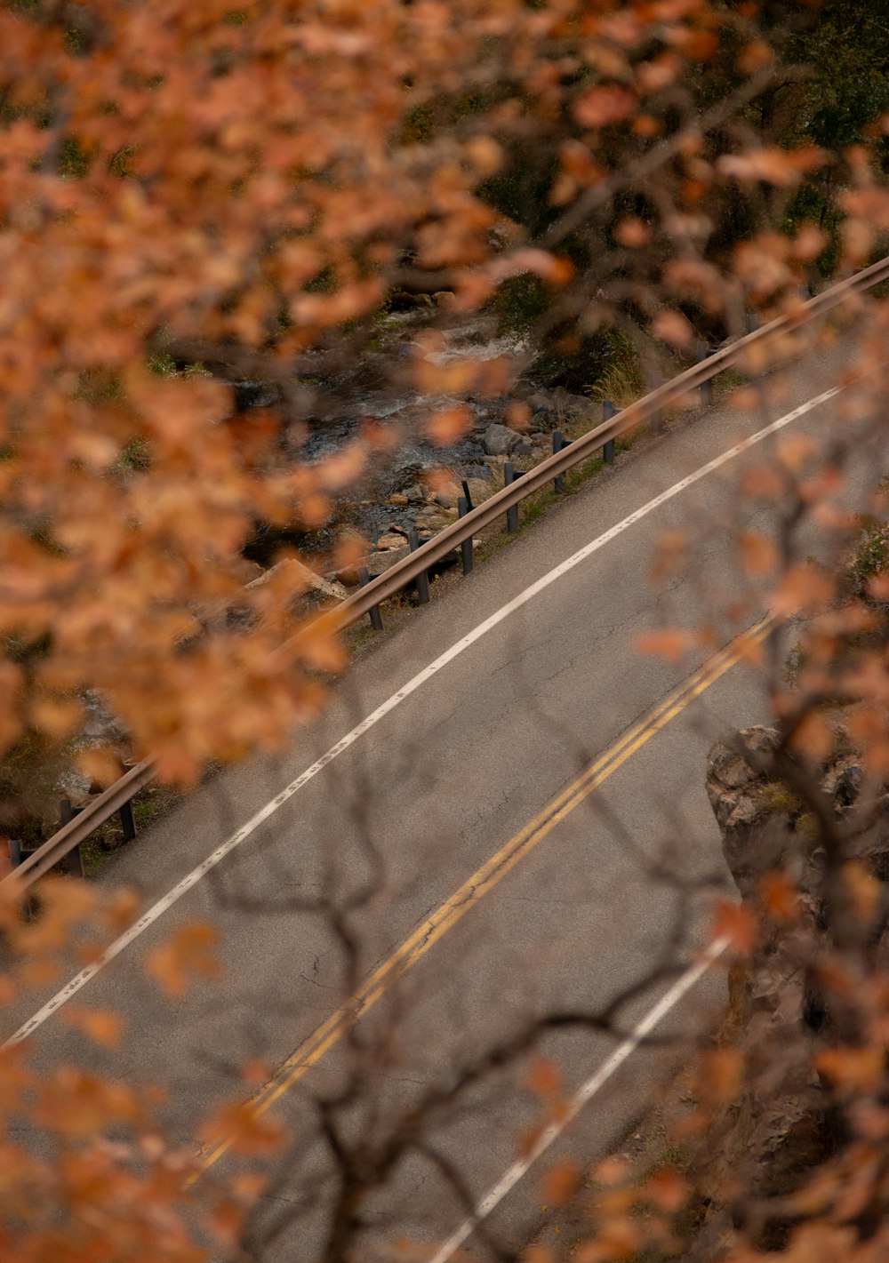 a bus driving down a road next to a forest