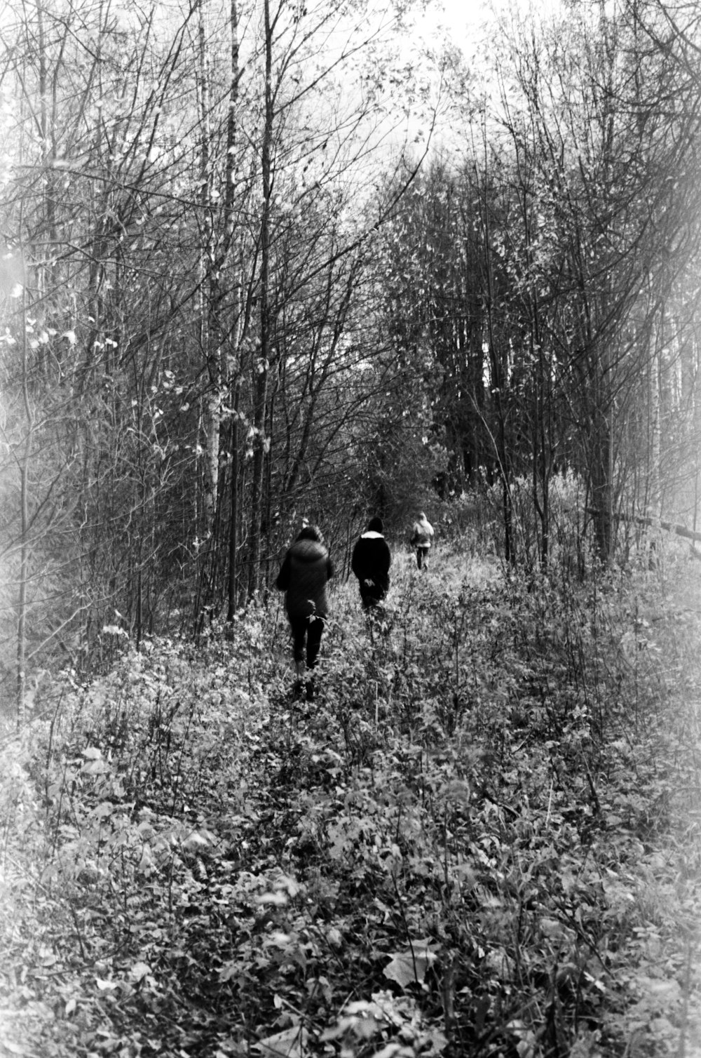 a couple of people walking through a forest