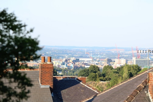 A cityscape view featuring a mix of residential rooftops and building constructions in the background. Chimney stacks are visible on the house rooftops in the foreground. There are trees interspersed between the buildings, adding greenery to the scene. Several red construction cranes are visible on the horizon, indicating ongoing development.