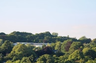 A serene outdoor shot of the NGO’s office building framed by lush greenery under a clear sky.