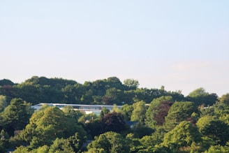 Lush green trees cover a landscape with a modern building partially visible among the foliage. The sky above is clear and blue, creating a serene and calm atmosphere.