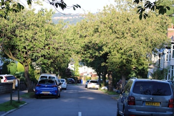 A residential street lined with lush green trees casts dappled shadows on the road. Several cars are parked along the roadside, and houses are visible on the right with well-kept gardens. The background features a hill with more houses visible in the distance.