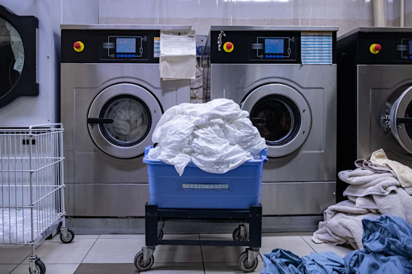 Technician visiting home for washing machine service