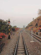 Railroad tracks diverge amidst a natural setting with lush greenery and vibrant red flowers lining the sides. Two railway signals are visible, displaying red lights. The landscape gently rises, bordered by small hills and scattered trees, under a soft, overcast sky.
