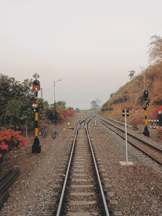 Railroad tracks diverge amidst a natural setting with lush greenery and vibrant red flowers lining the sides. Two railway signals are visible, displaying red lights. The landscape gently rises, bordered by small hills and scattered trees, under a soft, overcast sky.